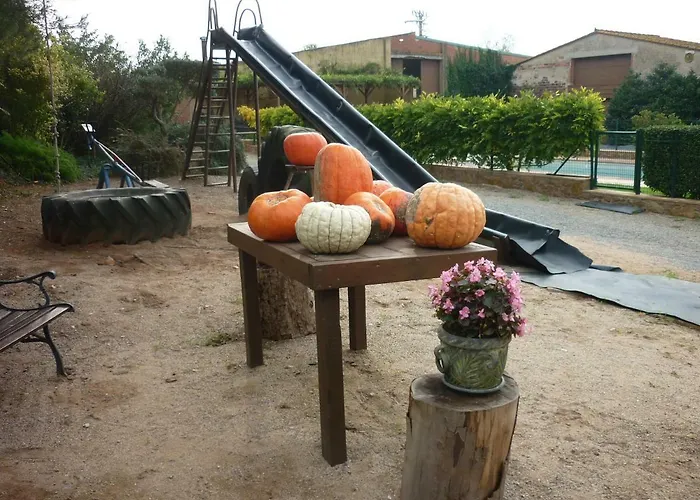 Daire Mas Puig Roig